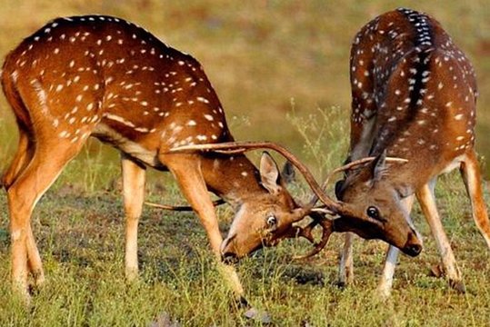 Tour image 2