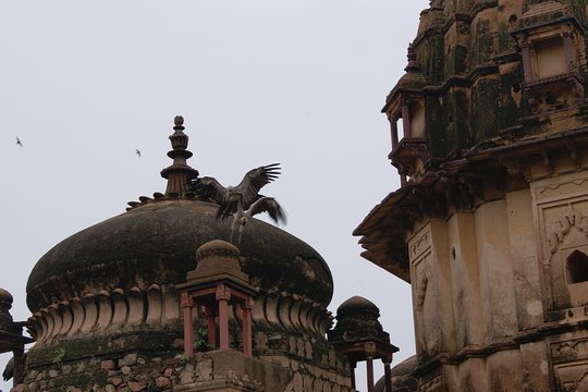 Tour image 1