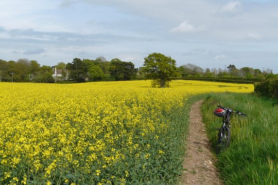 Tour image 5