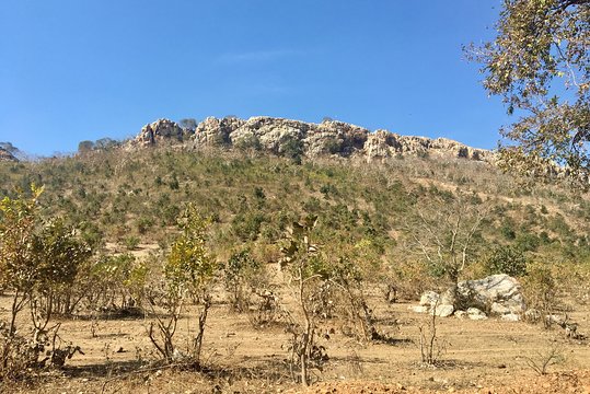 Tour image 11