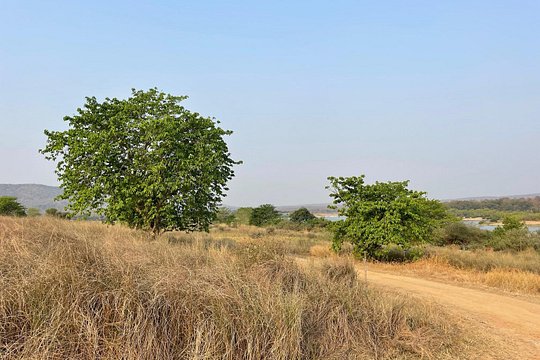 Tour image 2